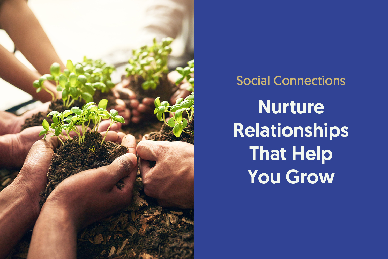Social Wealth: Nurturing the Relationships That Help You Grow