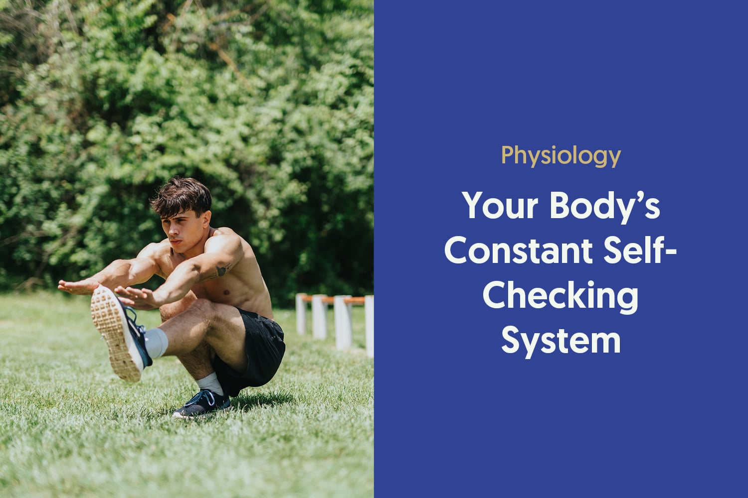 The Body’s Constant Self-Checking System