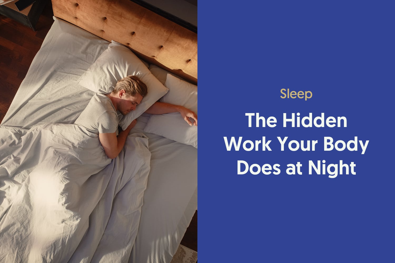 The Hidden Work Your Body Does While You Sleep
